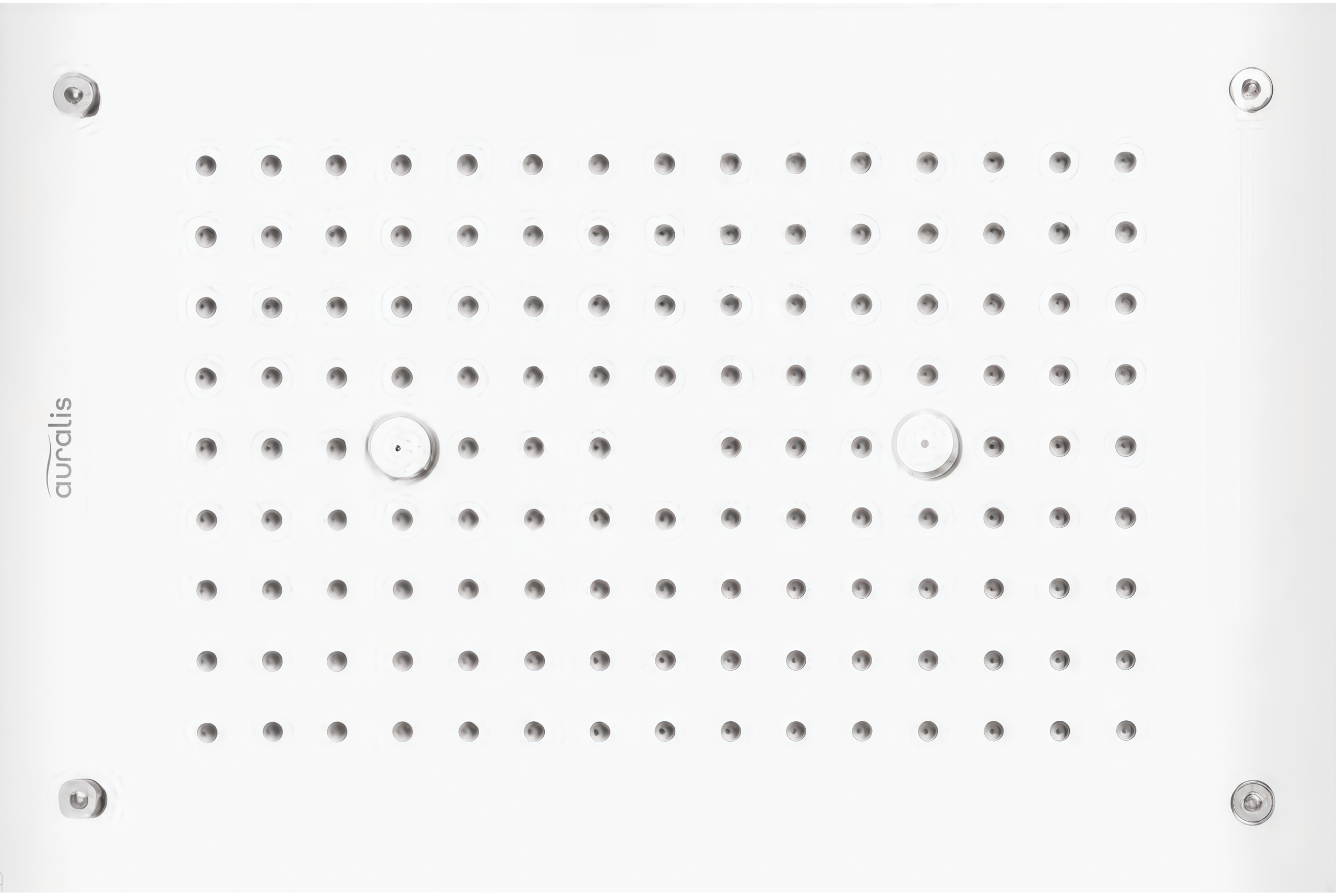 2-In-1 Chrome Ceiling Shower with Rain and Mist function